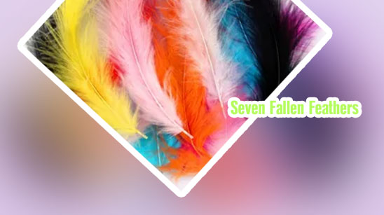 7 feathers news