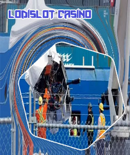 Latest news lodislot