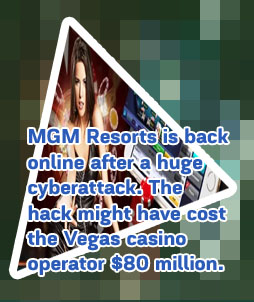 World casino app exposed personal data